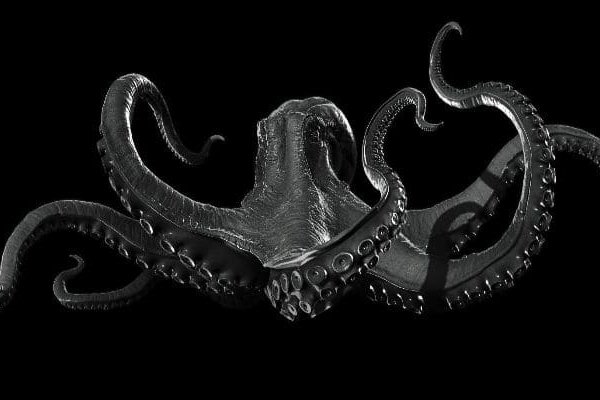 Актуальное зеркало kraken