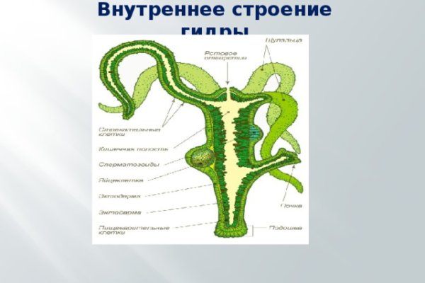 Кракен войти на сайт